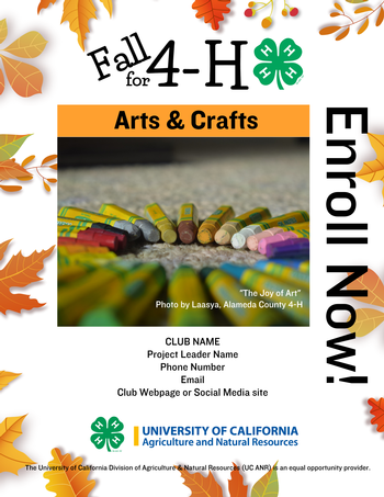 Fall for 4-H Project flyer template
