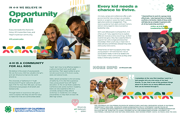 Opportunity for All flyer 2 pager. Click image for PDF.