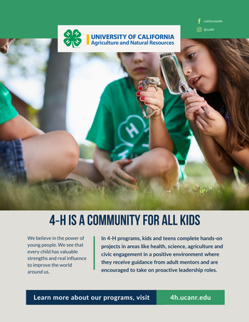 Community 4 all kids Flyer2. Click image for PDF