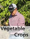 Dr. Zheng Wang - Vegetable Crop Advisor