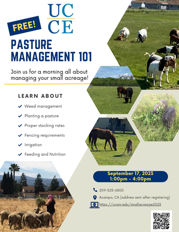 Pasture Management 101