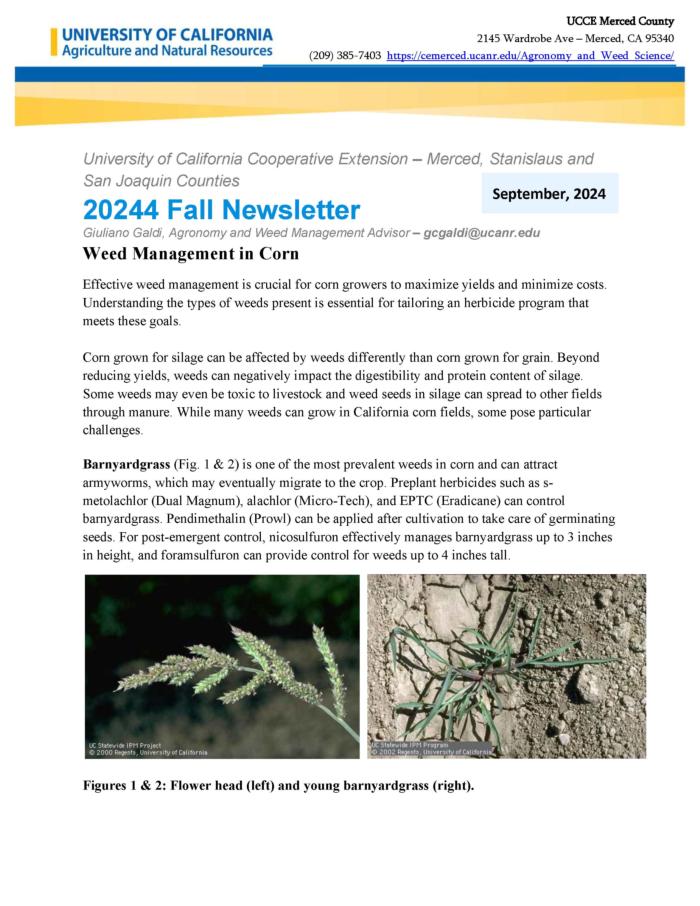 2024 Q3 Agronomy Newsletter - Weed Management in corn - front page