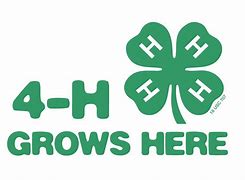 4h grows here