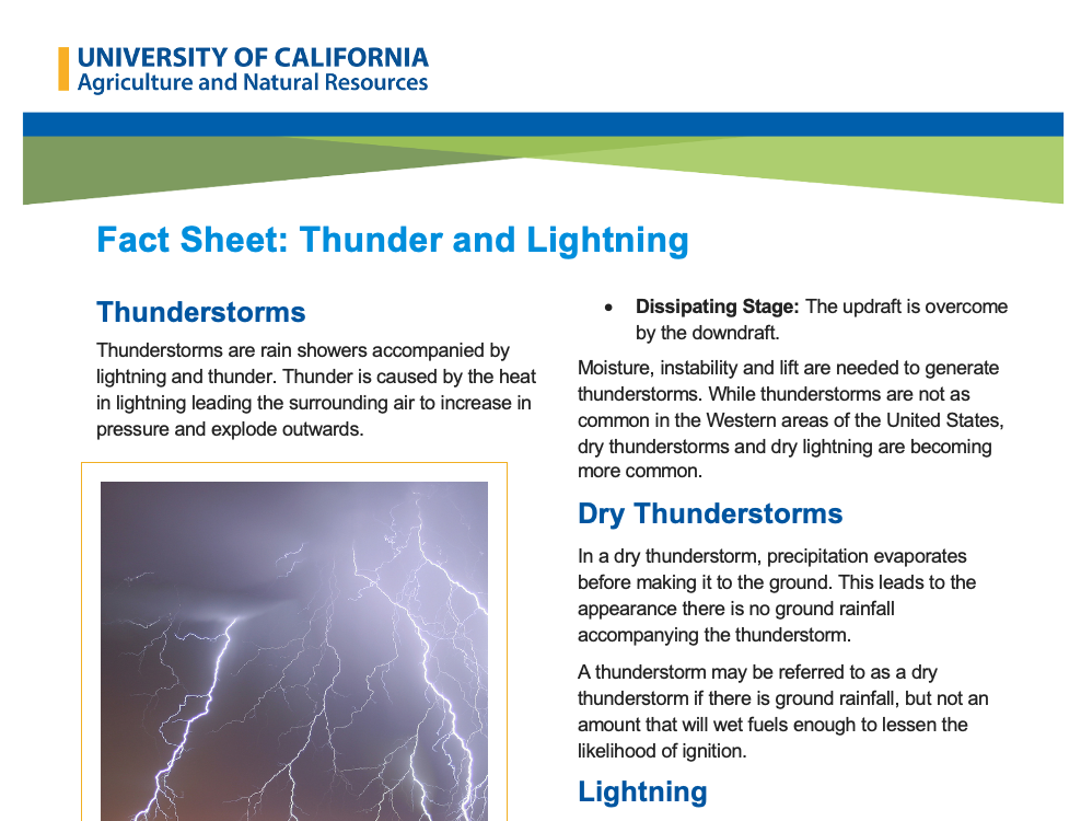 Fact Sheet Thunder and Lightning