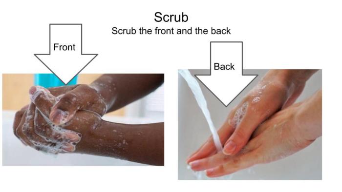 Hand washing scrub image