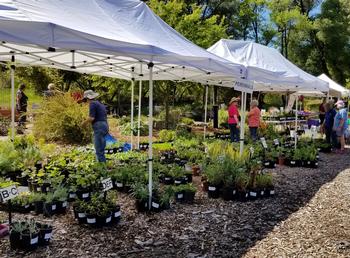 04-27-22_MD_Plant_Sale_photo_by_Summer_Brausel