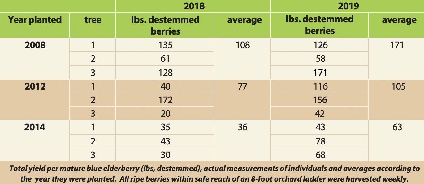 Table of mature unirrigated blue elderberry yield results harvested in 2018 and 2019