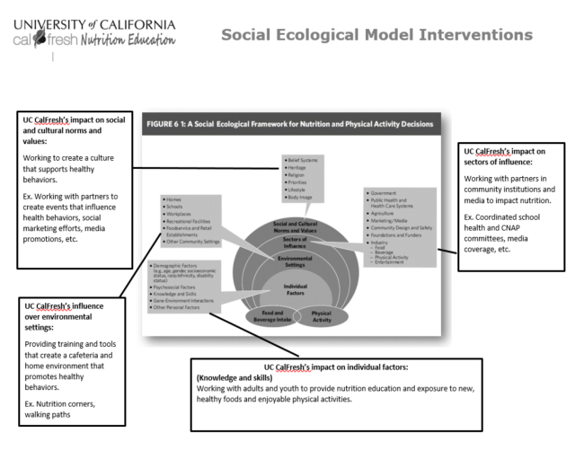 Social_Ecological_Model_Interventions