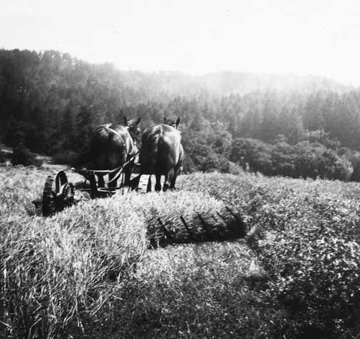 old school plowing_cropped