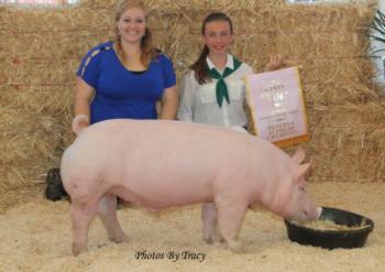 Point Reyes-Olema 4-H member shows reserve supreme pig at Marin County Fair
