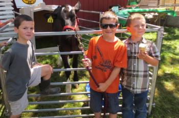 Sonoma County Fair, 2014