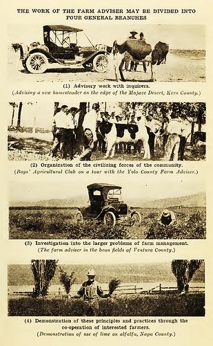 Farm Advisor duties in 1915