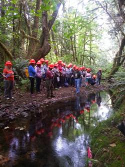FIT participants learn about Stream Ecology.