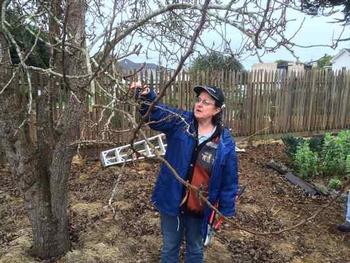 Emeritus Farm Advisor Deborah Giraud conducts a tree pruning class.