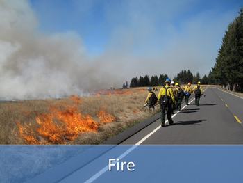 Controlled grass burn along roadside overseen by prescribed fire workers