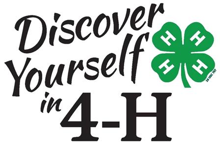 discover yourself 4h