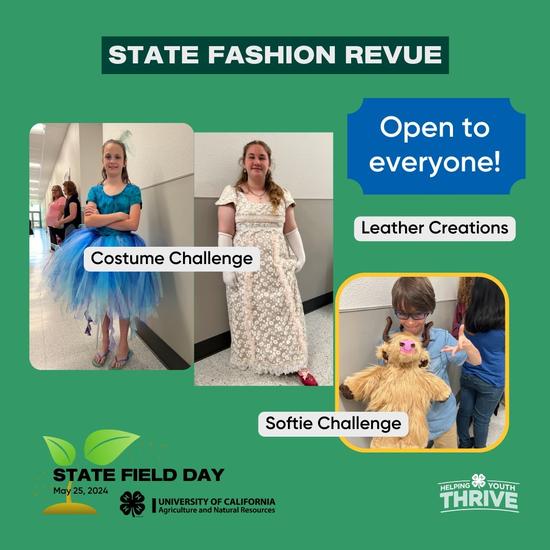 State Fashion Revue. Open to everyone! Costume challenge. Leather creations. Softie challenge.