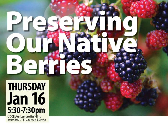 2025-fb-native-berries-banner