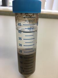 Clear solution on top indicates the sample is ready for the reading.