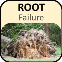 Root Failure Button2
