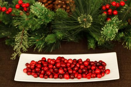 cranberries for Christmas-21949_1920 from Pixabay