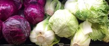 cabbages - 2472015_1920 Evita Ochel from Pixabay crop long