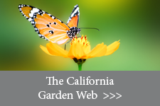 The California Garden Web