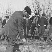 Vintage pruning workshop demonstration - © University of California
