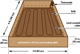 Diagram of an electric hotbed with the placement of the heating cable, thermostat, and heat-sensitive bulb, which is used to measure soil temperature.