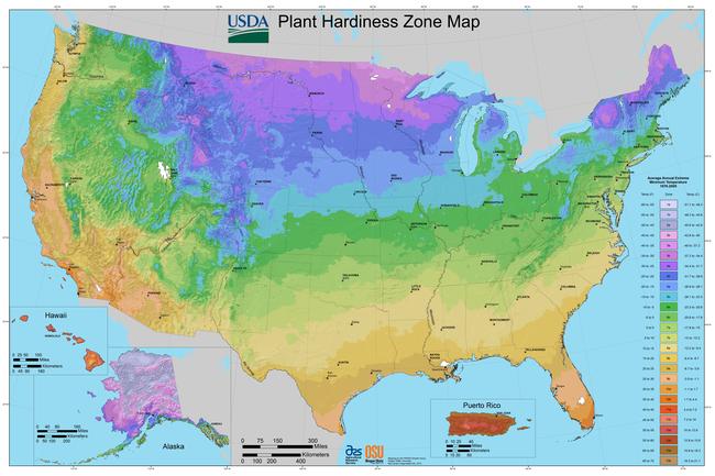 The USDA Plant Hardiness Zone Map helps gardeners determine which plants are most likely to thrive at a location. Source: USDA