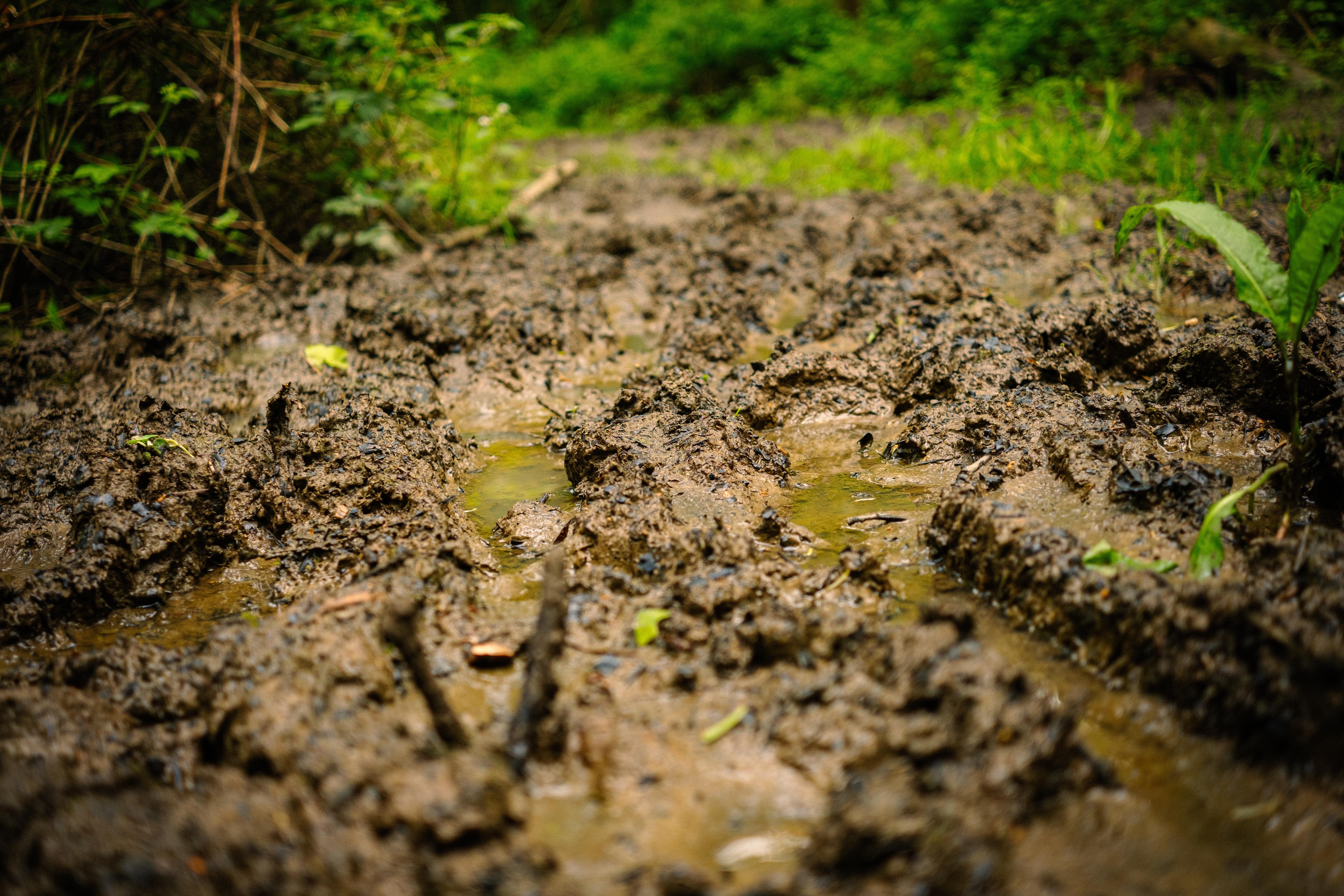 wet soil with puddles