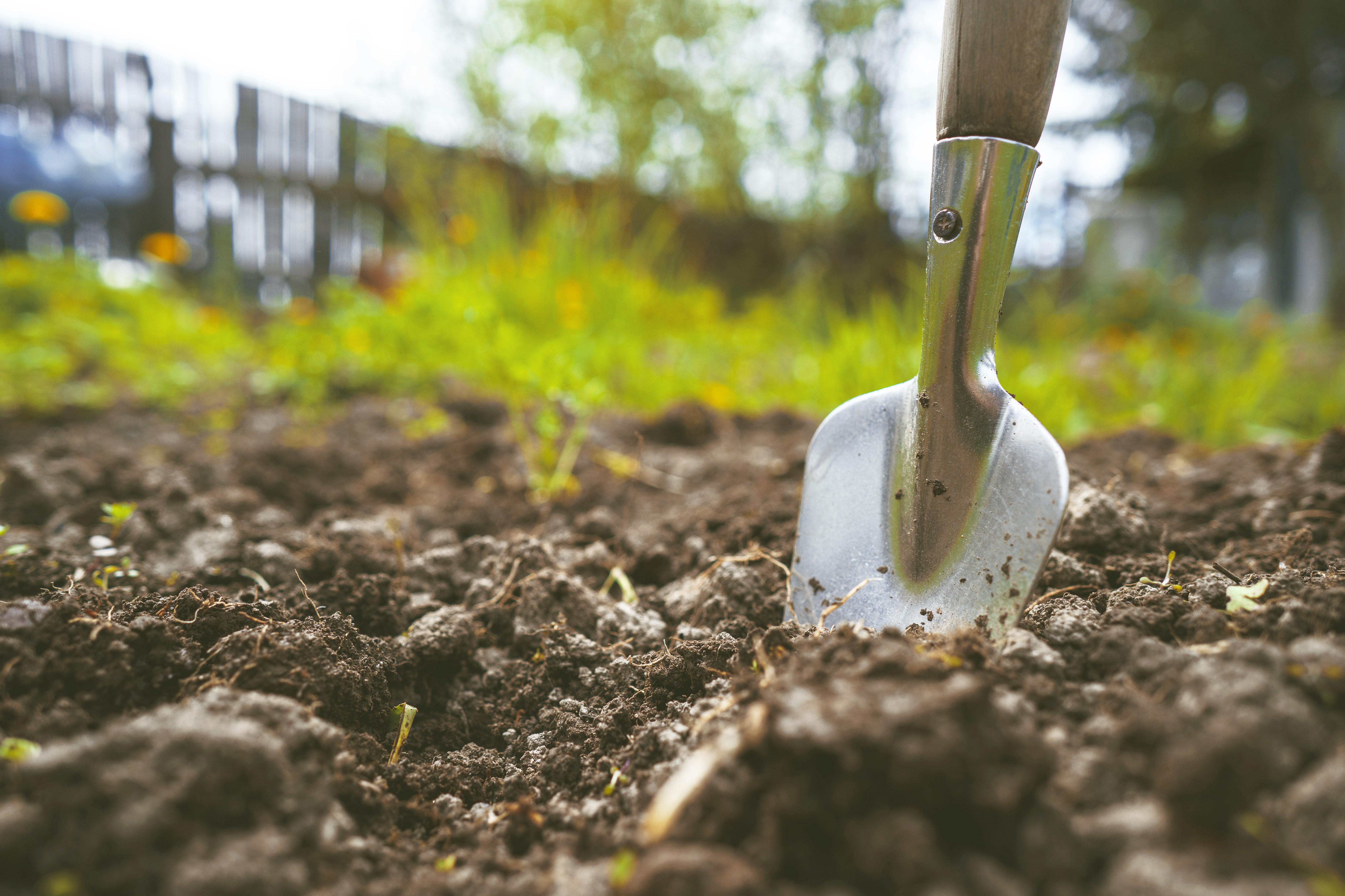 trowel sticking into soil