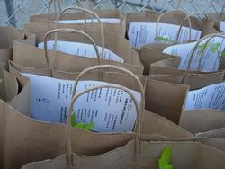 Tomato Bags_Multi Lingual