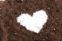 Test your soil knowledge!