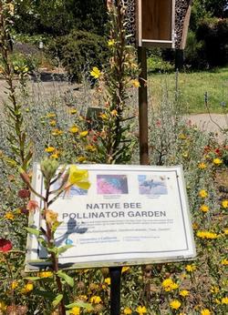 Lake Merritt Trials Garden Native Bee Habitat Signage