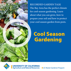 Play Cool Season Garden Talk