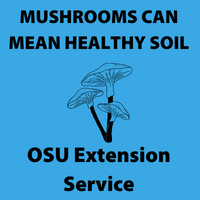 Mushrooms can mean healthy soil  OSU Extension Service (200 × 200 px)