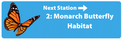 Go to station 2 - Monarch Butterfly Habitat