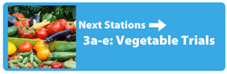 Next Station 3 -