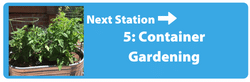 Next Station - Container Gardening