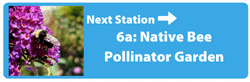 Next Station - Native Bee Garden