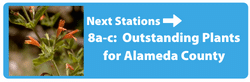 Next Station - Outstanding Plants for Alameda County