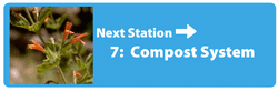 Next station Compost