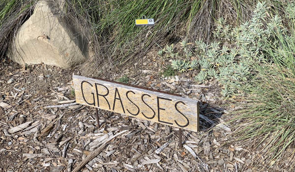 Ornamental Grasses Sign