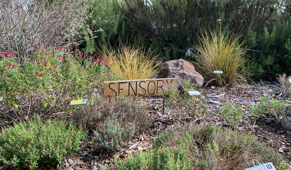 Sensory Garden Sign