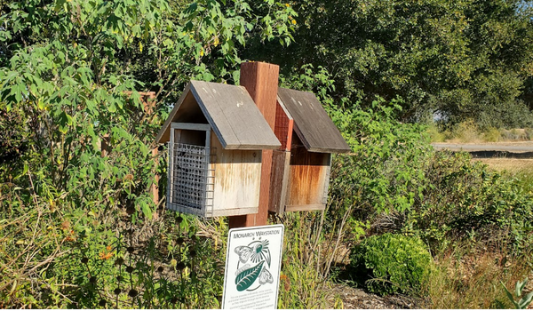 Native Bee House - © BSA Troop 103, Fremont, CA - Used by permission