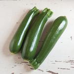 081_Squash_zucchini-dunja-johnnys-seeds