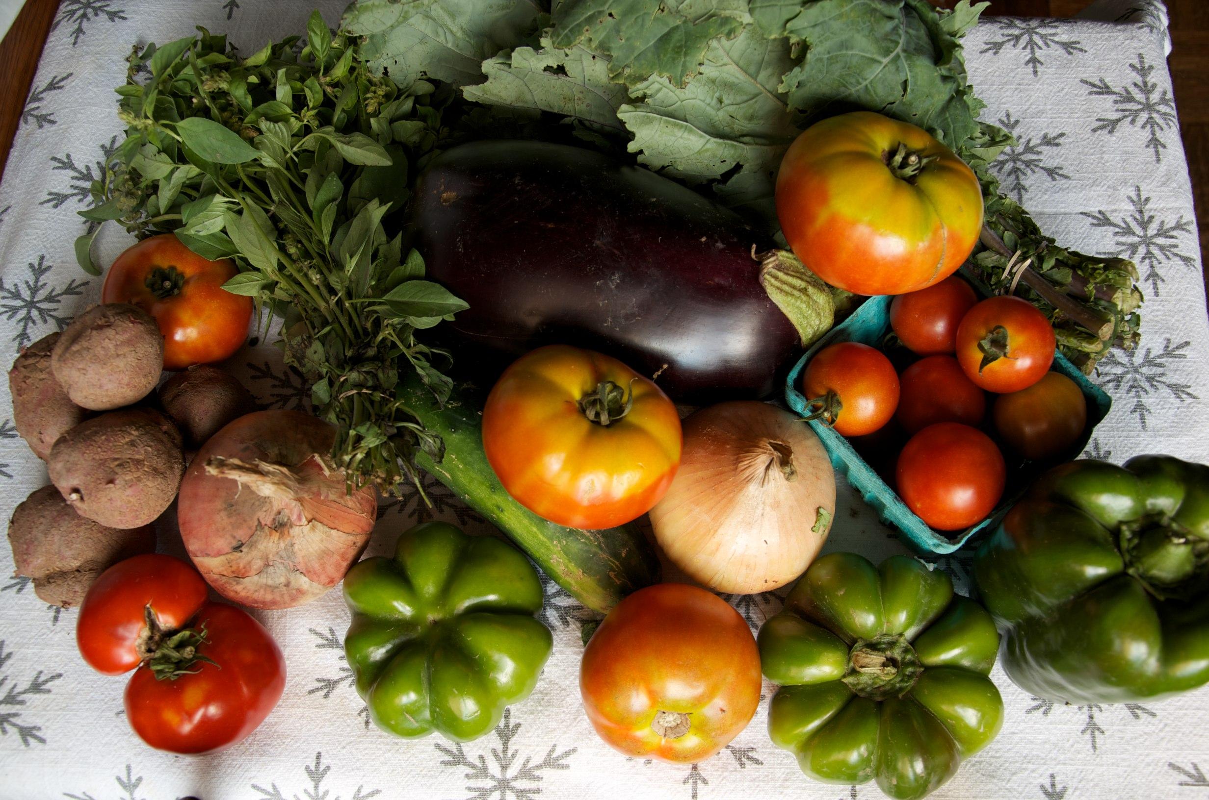 Tomatoes peppers and eggplant