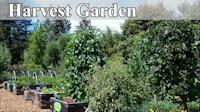 Hillsborough Harvest Garden