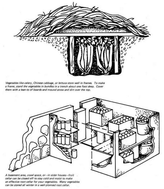 cold storage graphic